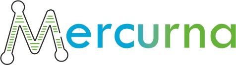 Mercurna welcomes new team members